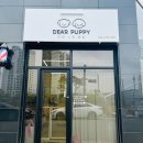 디어퍼피 이미지