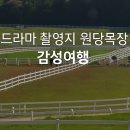 너른마당1 이미지
