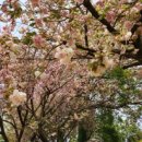 선흘1리경로당 이미지