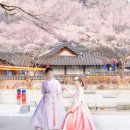 사랑모아빌(홀리조이) | 경원재바이워커힐 결혼식, 전통혼례 스냅촬영 후기 | 경원재웨딩 | 경원재전통혼례 | 송도한옥웨딩...