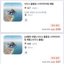 블루아짐 | 호주신혼여행 1편 <잠에 취한 건 코알라가 아니라 우리였다>