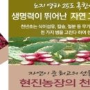 농업회사법인 (주)현진 네이버블로그