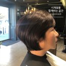 프로젝트440헤어 네이버블로그