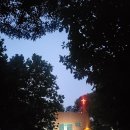 신속히 처리하신 세 가지/ <b>나비</b>(נָבִיא)란 누구인가?