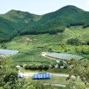 고향산천 이미지