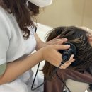 대전롯데 헤드 이미지