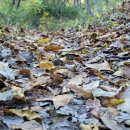 만연산 공중화장실 이미지