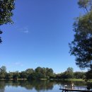 아재로드 이미지