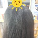라봄헤어 이미지