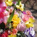 신교하농협 영농자재센터 | 인천 서구 공촌사거리 꽃집 현대식물원 꽃바구니 내돈내산