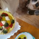 모모한 하루 이미지