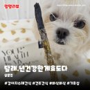 달래(Dalae) 이미지