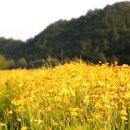 예양공원 이미지