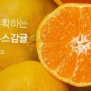 찐마켓 이미지