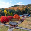 난계국악기체험촌 이미지