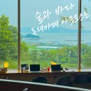 인천 강화도 돈대카페 아웃포스트｜숲뷰 바다뷰 뷰맛집 카페 솔직후기