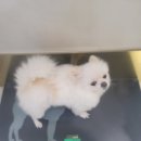 해랑동물병원 이미지