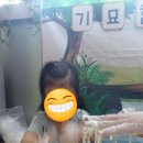 강동하바어학·놀이학원
