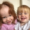 머리