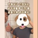 여성크로커다일예산내포 | [ 내포 피티 , 내포 헬스 ] 반복되고 긴장되는 공직생활에 지친몸, 운동으로 관리해봐요!(1)