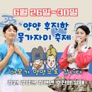 💜6월 24일~30일 양양 물가자미 축제💜 이미지