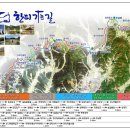 육림공원 앞 - 신동삼거리 | 한티가는 길 1구간, 2구간, 3구간