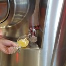 스퀴즈브루어리 이미지