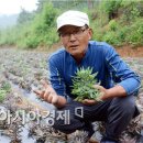 뽕이랑 귀농이랑 이미지