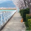 둔덕청마꽃들작은도서관 이미지