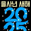 용인대 태풍 태권도장 이미지