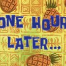 하루멍멍 이미지