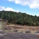 (주)제주동락여행사 | 제주오름 도두봉오른후에 제주시 멕시코요리 전문점 자파타스 맥주한잔