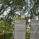 성산패총로 | [창원 여행] 창원 성산패총 겹벚꽃 벚꽃명소 개화상황 방문후기