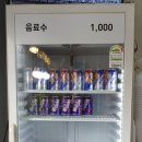 초월짱김밥