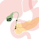 건강초음파 이미지