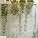 삼영메디칼 이미지