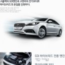 소나타 Daum카페