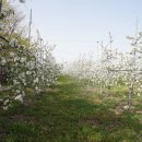 지남농장 이미지