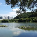 용평천 연합뉴스