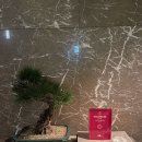 안의탕 | 광화문 미쉐린 1스타 포시즌스 호텔 [유유안] 베이징덕 디너 단품 후기 (예약 주차 메뉴)