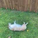 십일월오일 이미지