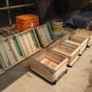 조양농원 이미지