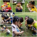 리더아이어린이집 이미지