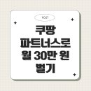 쿠팡 파트너스로 월 30만 원 벌기