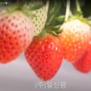 일신팜 이미지