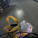 저스트유도짐 | [운동] 8개월 차 후기 직장인, 성인 여자 호신술 취미 운동 🥋안양유도관 저스트유도🥋