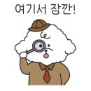 올데이 그루밍 이미지