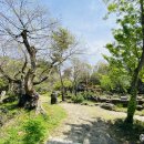 돌하르방미술관 이미지