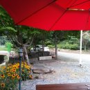 산내음 물소리 이미지