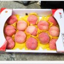 김천염소유통 이미지